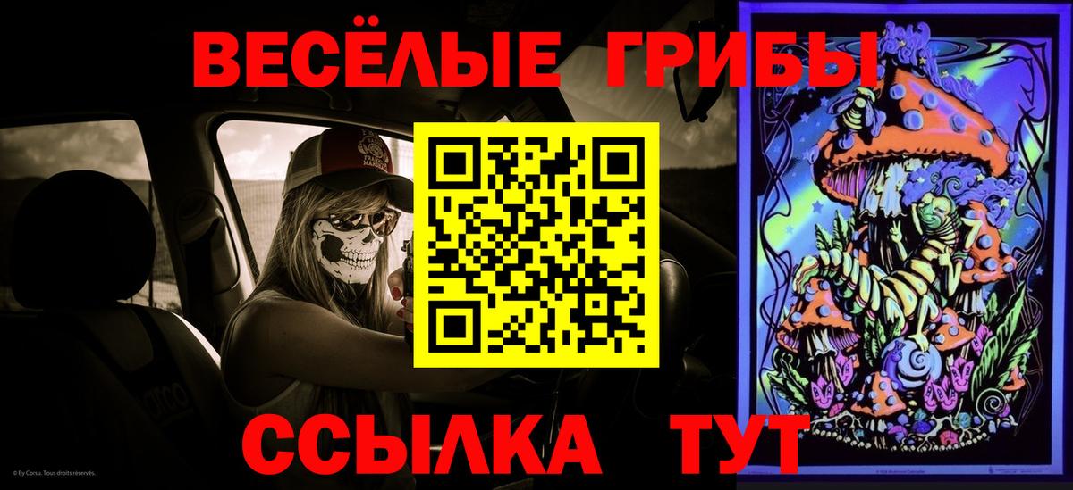 Галлюциногенные грибы ЛСД  как найти закладки  Кинешма  Вход с VPN 